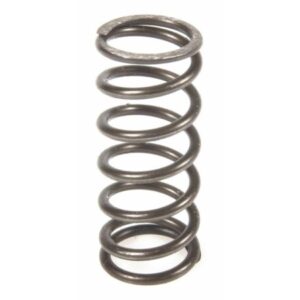 Surflex Kupplungsfedern Beta / Sherco