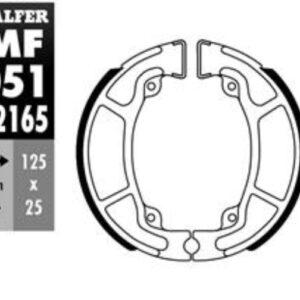 Galfer Bremsbelag Fantic 300